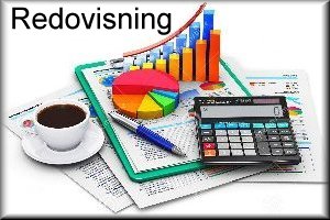 redovisning